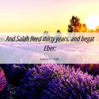 Picture 06 - Genesis 11:14 KJV - And Salah lived thirty years, and begat - Bible Verse Picture
