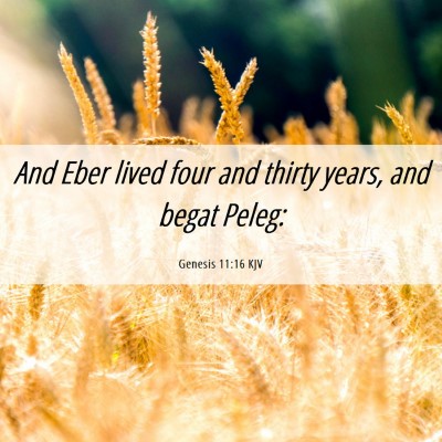 Picture 06 - Genesis 11:16 KJV - And Eber lived four and thirty years, and begat - Bible Verse Picture