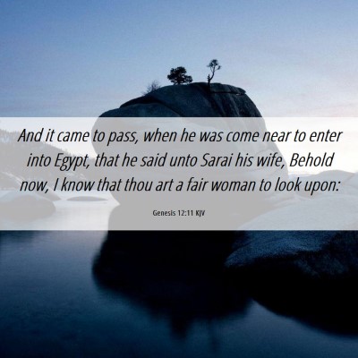 Picture 06 - Genesis 12:11 KJV - And it came to pass, when he was come near to - Bible Verse Picture
