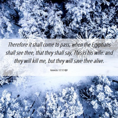 Picture 06 - Genesis 12:12 KJV - Therefore it shall come to pass, when the - Bible Verse Picture