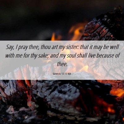 Picture 06 - Genesis 12:13 KJV - Say, I pray thee, thou art my sister: that it may - Bible Verse Picture