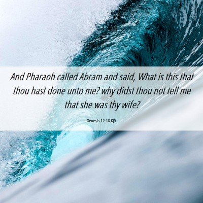 Picture 06 - Genesis 12:18 KJV - And Pharaoh called Abram and said, What is this - Bible Verse Picture