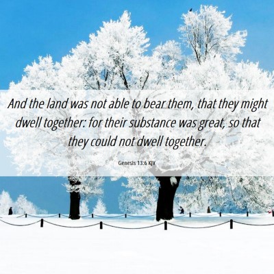 Picture 06 - Genesis 13:6 KJV - And the land was not able to bear them, that they - Bible Verse Picture