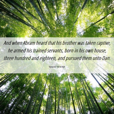 Picture 06 - Genesis 14:14 KJV - And when Abram heard that his brother was taken - Bible Verse Picture