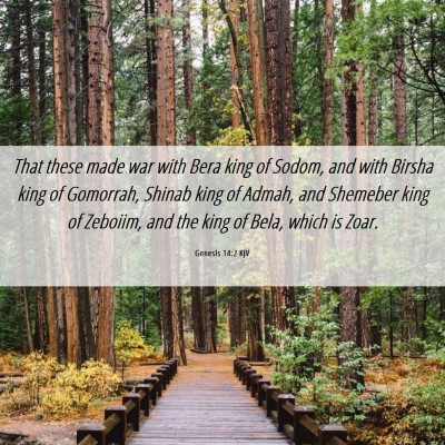 Picture 06 - Genesis 14:2 KJV - That these made war with Bera king of Sodom, and - Bible Verse Picture