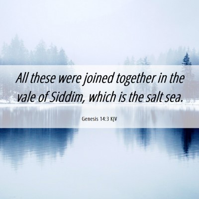 Picture 06 - Genesis 14:3 KJV - All these were joined together in the vale of - Bible Verse Picture