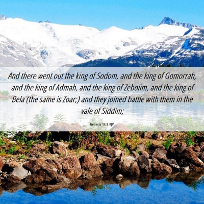 Picture 06 - Genesis 14:8 KJV - And there went out the king of Sodom, and the - Bible Verse Picture