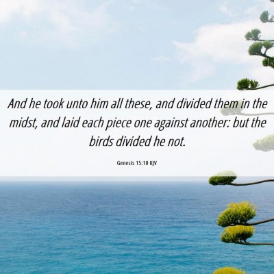 Picture 06 - Genesis 15:10 KJV - And he took unto him all these, and divided them - Bible Verse Picture