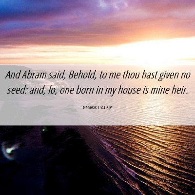 Picture 06 - Genesis 15:3 KJV - And Abram said, Behold, to me thou hast given no - Bible Verse Picture
