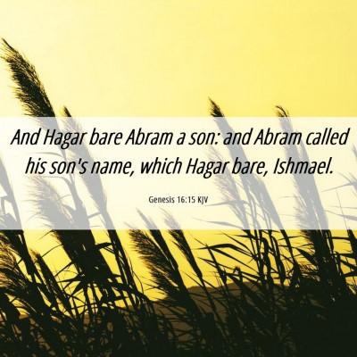Picture 06 - Genesis 16:15 KJV - And Hagar bare Abram a son: and Abram called his - Bible Verse Picture