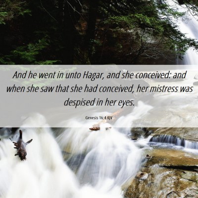 Picture 06 - Genesis 16:4 KJV - And he went in unto Hagar, and she conceived: and - Bible Verse Picture