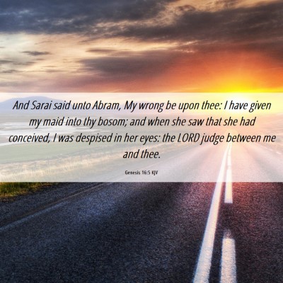 Picture 06 - Genesis 16:5 KJV - And Sarai said unto Abram, My wrong be upon thee: - Bible Verse Picture