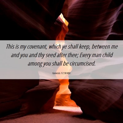 Picture 06 - Genesis 17:10 KJV - This is my covenant, which ye shall keep, between - Bible Verse Picture