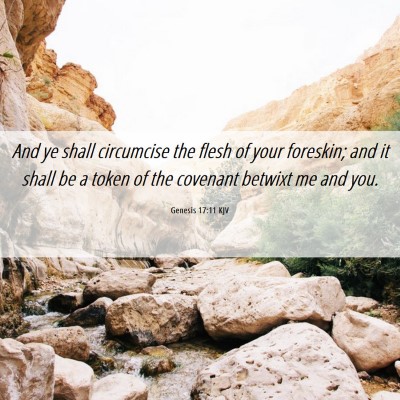 Picture 06 - Genesis 17:11 KJV - And ye shall circumcise the flesh of your - Bible Verse Picture