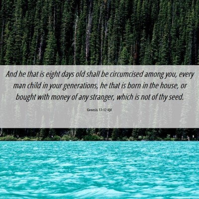 Picture 06 - Genesis 17:12 KJV - And he that is eight days old shall be - Bible Verse Picture
