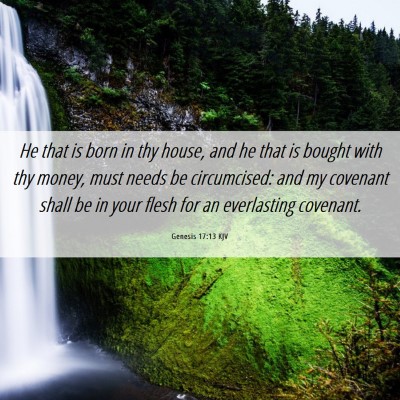 Picture 06 - Genesis 17:13 KJV - He that is born in thy house, and he that is - Bible Verse Picture