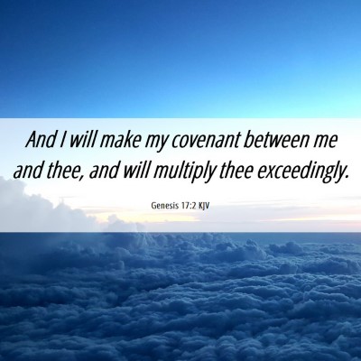 Picture 06 - Genesis 17:2 KJV - And I will make my covenant between me and thee, - Bible Verse Picture