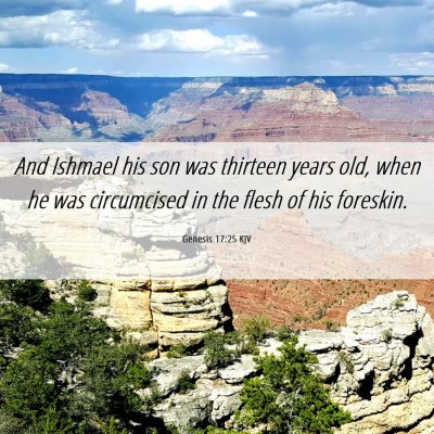 Picture 06 - Genesis 17:25 KJV - And Ishmael his son was thirteen years old, when - Bible Verse Picture