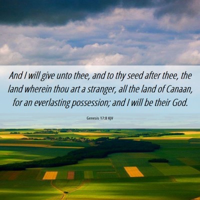 Picture 06 - Genesis 17:8 KJV - And I will give unto thee, and to thy seed after - Bible Verse Picture