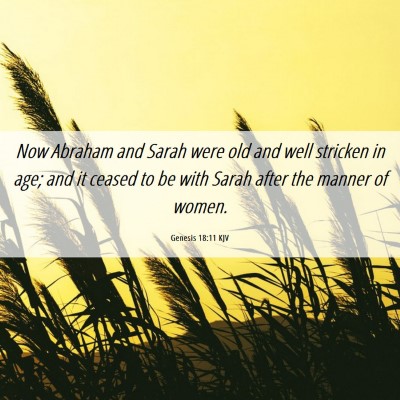 Picture 06 - Genesis 18:11 KJV - Now Abraham and Sarah were old and well stricken - Bible Verse Picture
