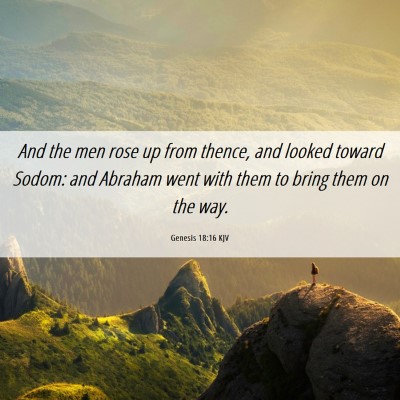 Picture 06 - Genesis 18:16 KJV - And the men rose up from thence, and looked - Bible Verse Picture