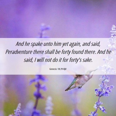 Picture 06 - Genesis 18:29 KJV - And he spake unto him yet again, and said, - Bible Verse Picture