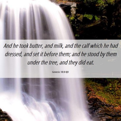Picture 06 - Genesis 18:8 KJV - And he took butter, and milk, and the calf which - Bible Verse Picture
