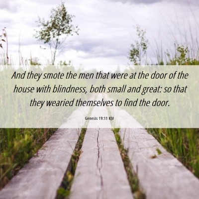 Picture 06 - Genesis 19:11 KJV - And they smote the men that were at the door of - Bible Verse Picture