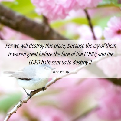 Picture 06 - Genesis 19:13 KJV - For we will destroy this place, because the cry - Bible Verse Picture