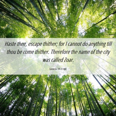 Picture 06 - Genesis 19:22 KJV - Haste thee, escape thither; for I cannot do - Bible Verse Picture