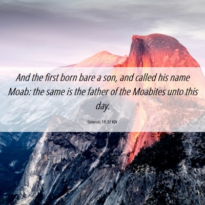 Picture 06 - Genesis 19:37 KJV - And the first born bare a son, and called his - Bible Verse Picture