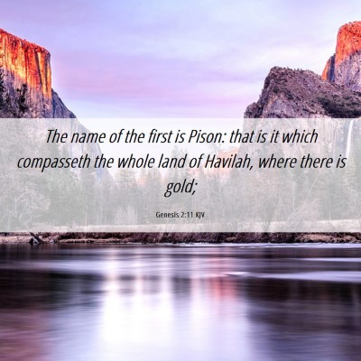 Picture 06 - Genesis 2:11 KJV - The name of the first is Pison: that is it which - Bible Verse Picture