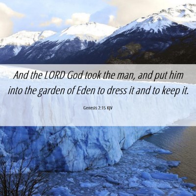Picture 06 - Genesis 2:15 KJV - And the LORD God took the man, and put him into - Bible Verse Picture