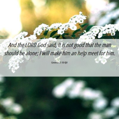 Picture 06 - Genesis 2:18 KJV - And the LORD God said, It is not good that the - Bible Verse Picture