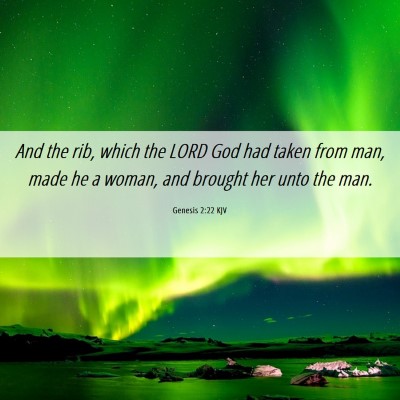 Picture 06 - Genesis 2:22 KJV - And the rib, which the LORD God had taken from - Bible Verse Picture