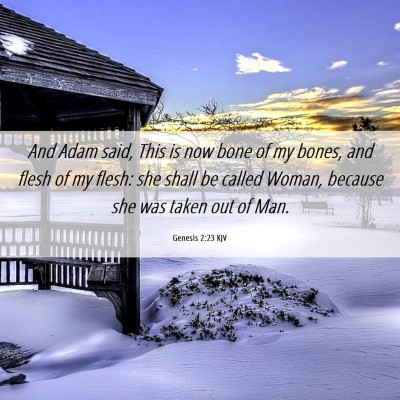 Picture 06 - Genesis 2:23 KJV - And Adam said, This is now bone of my bones, and - Bible Verse Picture