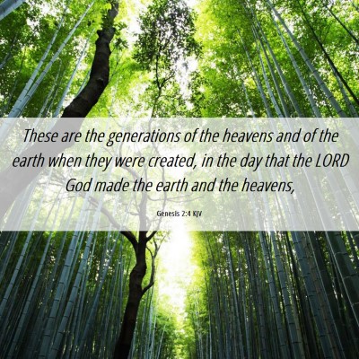 Picture 06 - Genesis 2:4 KJV - These are the generations of the heavens and of - Bible Verse Picture