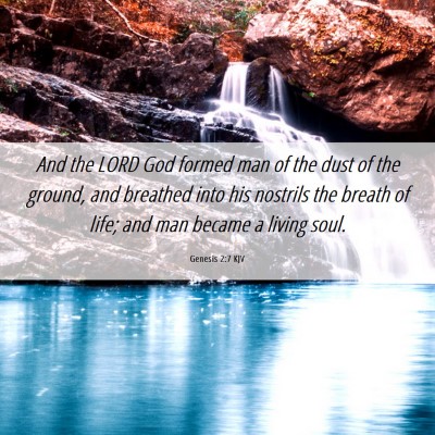 Picture 06 - Genesis 2:7 KJV - And the LORD God formed man of the dust of the - Bible Verse Picture