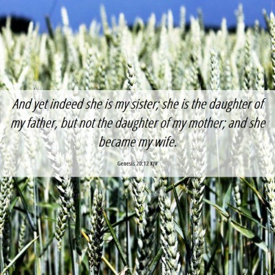 Picture 06 - Genesis 20:12 KJV - And yet indeed she is my sister; she is the - Bible Verse Picture
