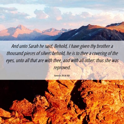 Picture 06 - Genesis 20:16 KJV - And unto Sarah he said, Behold, I have given thy - Bible Verse Picture