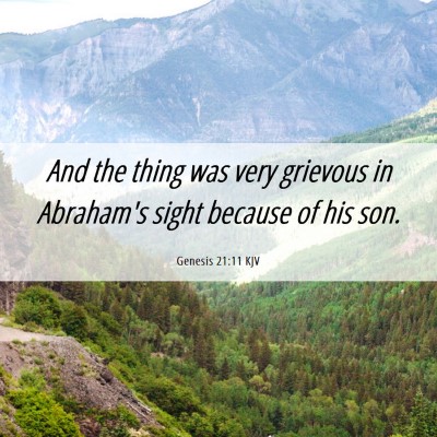 Picture 06 - Genesis 21:11 KJV - And the thing was very grievous in Abraham's - Bible Verse Picture