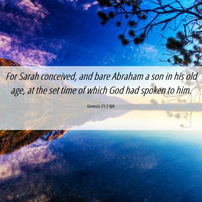 Picture 06 - Genesis 21:2 KJV - For Sarah conceived, and bare Abraham a son in - Bible Verse Picture