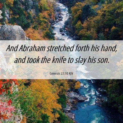 Picture 06 - Genesis 22:10 KJV - And Abraham stretched forth his hand, and took - Bible Verse Picture