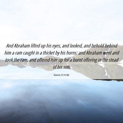 Picture 06 - Genesis 22:13 KJV - And Abraham lifted up his eyes, and looked, and - Bible Verse Picture