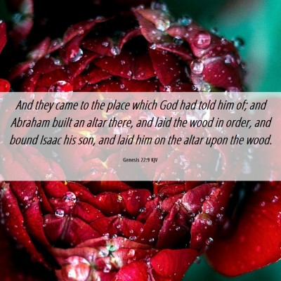 Picture 06 - Genesis 22:9 KJV - And they came to the place which God had told him - Bible Verse Picture