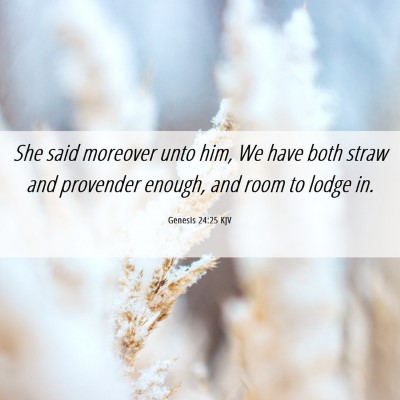 Picture 06 - Genesis 24:25 KJV - She said moreover unto him, We have both straw - Bible Verse Picture
