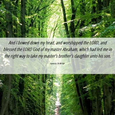 Picture 06 - Genesis 24:48 KJV - And I bowed down my head, and worshipped the - Bible Verse Picture