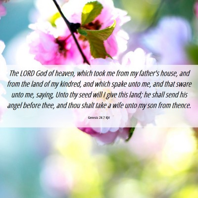 Picture 06 - Genesis 24:7 KJV - The LORD God of heaven, which took me from my - Bible Verse Picture