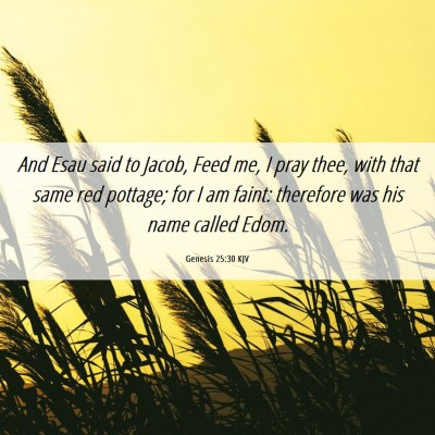 Picture 06 - Genesis 25:30 KJV - And Esau said to Jacob, Feed me, I pray thee, - Bible Verse Picture
