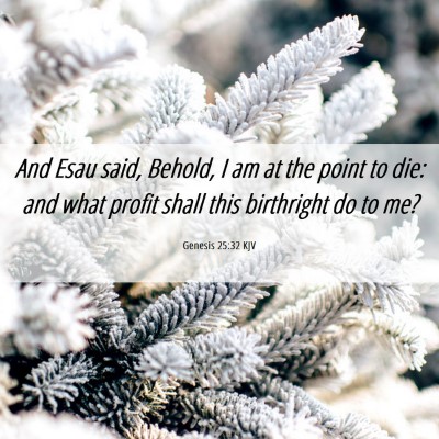 Picture 06 - Genesis 25:32 KJV - And Esau said, Behold, I am at the point to die: - Bible Verse Picture